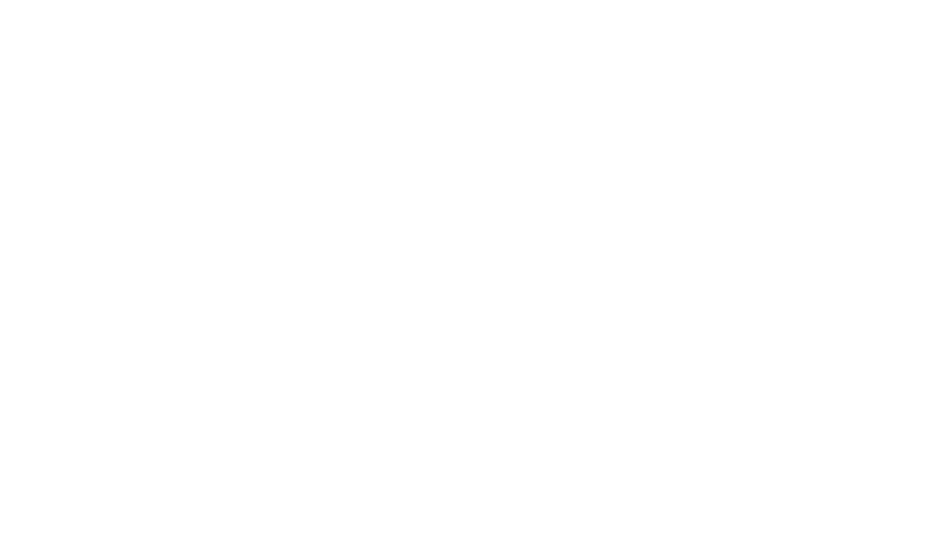 Nieendick HSE Beratung logo